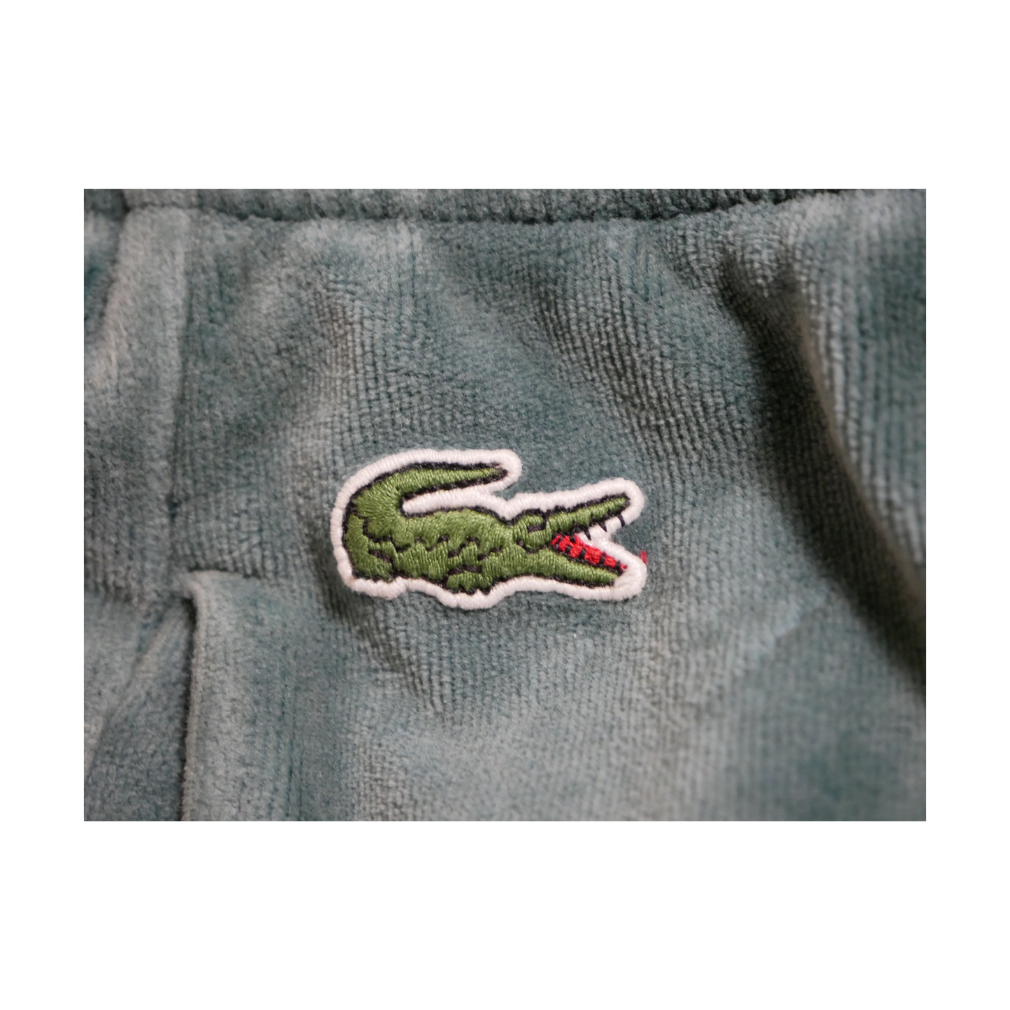 TRAININGSHOSE - SUPREME X LACOSTE